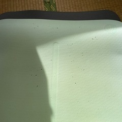 マンドゥカ　ヨガマットの画像