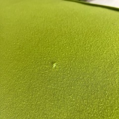 受け取り決まりました yogibo max グリーンの画像