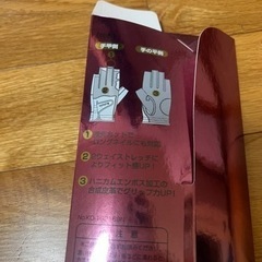 レディース手袋の画像