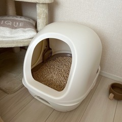 猫システムトイレの画像