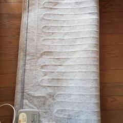 電気カーペットの画像