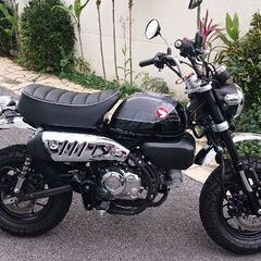 ホンダモンキー１２５　２０２２年モデル／ＪＢ０３型／ＡＢＳ標準装備／５速ミッション／フルノーマル車両の画像