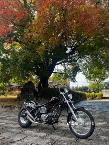 ジャズ50実働車