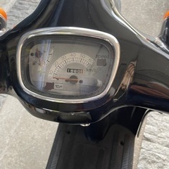 スズキヴェルデの画像