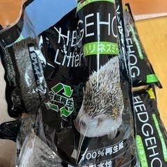 ハリネズミ　リターの画像
