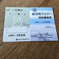天竜浜名湖線＋駿河湾フェリー切符