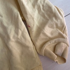 ミッキートレーナー120の画像