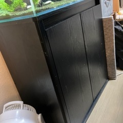 決まりました！ 熱帯魚、水槽、外部フィルタ、LED諸々セットの画像