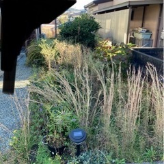 任せてください！！お庭、空き地などの草刈り、草むしり、ほか色々！ご依頼殺到中！ - 手伝いたい/助けたい