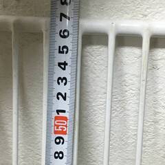 🔷🔶🔷ut14/96 業務用 冷蔵庫 棚板 棚網 幅56.5×奥行54.5㎝ 3枚 業務用 冷蔵庫 冷凍庫 ショーケース コールドテーブル 厨房機器 パーツ🔷🔶🔷の画像