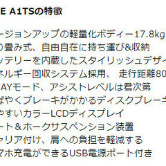 AiDDE社の検査合格書と保証書と販売証明書付き電動アシスト折り畳み自転車AiDDE A1TSを買い取り条件で売ります。の画像