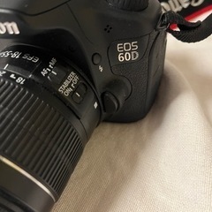 Canon EOS 60D セット売りの画像