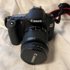 Canon EOS 60D セット売りの画像