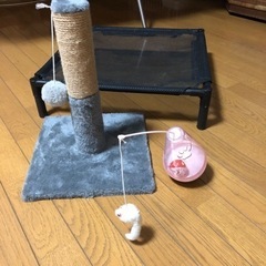 猫用用品