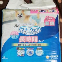 超小型犬用SSSサイズ🐕マナーウェア
