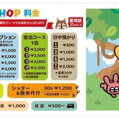 保護動物と出会えるショップ - 地元のお店