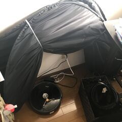 デスク用テント 差し上げます。の画像