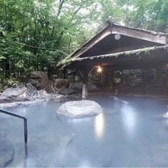 温泉好きな人募集‼️