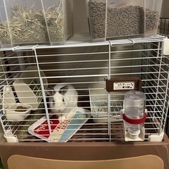再投稿です。小動物系のゲージです。