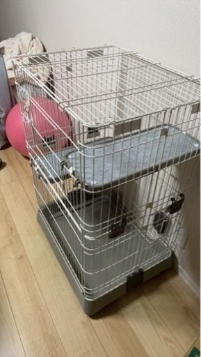 キャットゲージ