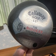 ドライバー2本と5番の画像