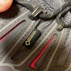 【SALOMON】トレッキングシューズの画像