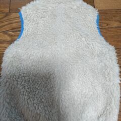 patagonia パタゴニアベスト　2T