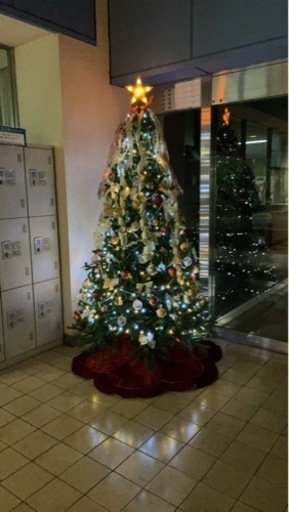 クリスマスツリー