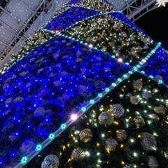 『CHRISTMAS MARKETin Hikari no Machi HAKATA 2023』イルミネーション観覧希望‼️ - 福岡市