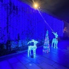 『CHRISTMAS MARKETin Hikari no Machi HAKATA 2023』イルミネーション観覧希望‼️ - その他