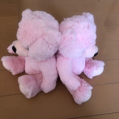 テディベア　２個　ピンクの画像
