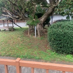 趣味友達募集してます！😊