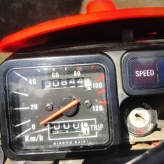 TLR200 車両　HONDAの画像