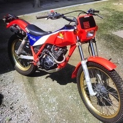TLR200 車両　HONDAの画像