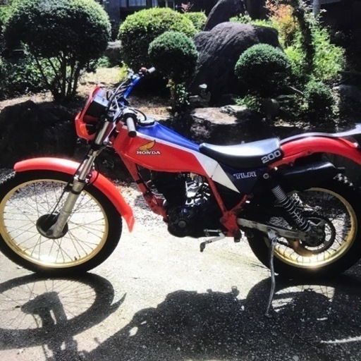 TLR200 車両　HONDA