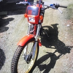 TLR200 車両　HONDAの画像