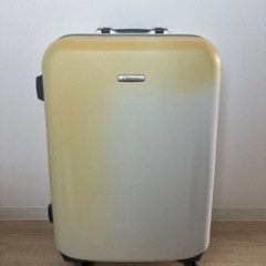【無料】キャリーバッグ