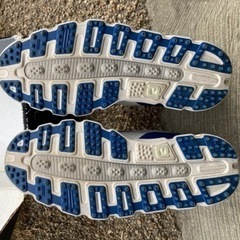 フットジョイゴルフシューズ　24.5センチの画像