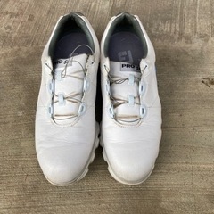フットジョイゴルフシューズ　24.5センチの画像