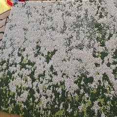 サンゲツ　タイルカーペット