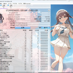 中古HDD ST2000DM001-1ER164 : 2000.3 GBの画像