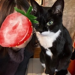 【受付中！】レンタルフレンド　20代女性/東京 - 渋谷区