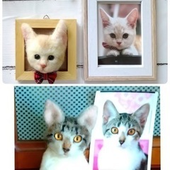 羊毛フェルト教室の画像