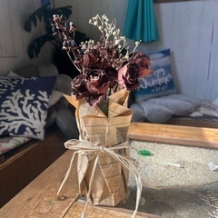 ドライフラワー✩.*˚の画像