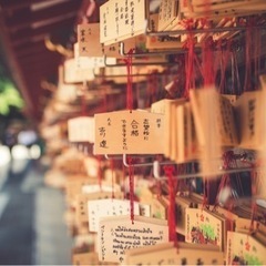 神社仏閣など一緒に回れる友達募集！ - 墨田区