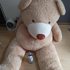 クマのぬいぐるみ