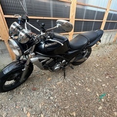 バリオス2型