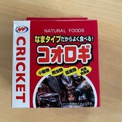 餌用　コオロギ　生タイプ
