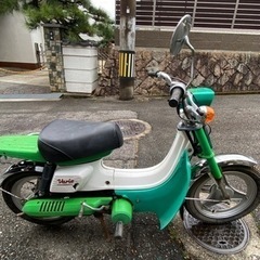 ホンダ　バリエ　超希少車　フルノーマル