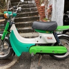 ホンダ　バリエ　超希少車　フルノーマルの画像